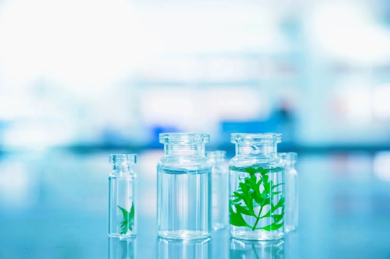 A close up of four glass jars on top of a table.